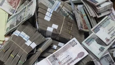 من الخبز إلى "الكاش".. هل تنجح مصر في التحول إلى الدعم النقدي؟