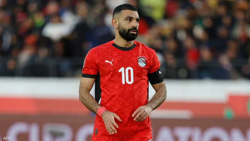 بالفيديو..